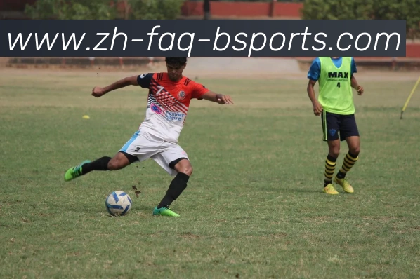 B体育平台生态图